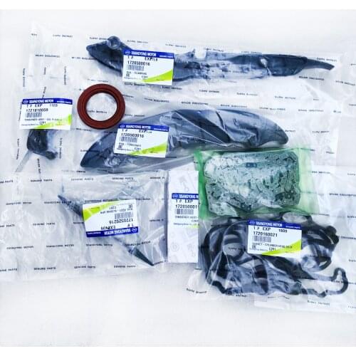 OEM 1720500011 1729979094 8PCS Engine timing chain timing baffle timing tensioner timing repair kit For Ssangyong KORANDO