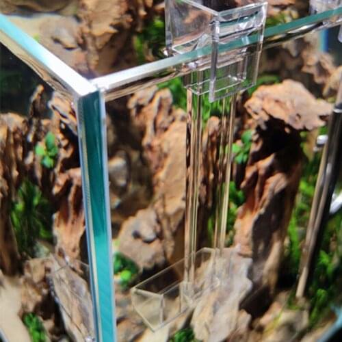 Transparent Acrylic Shrimp Feeder Feeding Tube Dish Cup Snail Fish Food Dish Container Aquarium Fish Tank Accessory