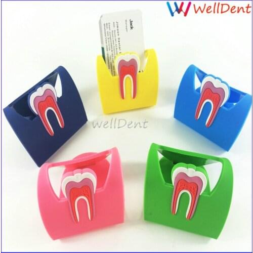 1pc Cute Dental Card Holder Colorful Rubber Teeth Molar Shape Phone Card Name Storage Dsiaply Stand For Clinic Dentist Gift