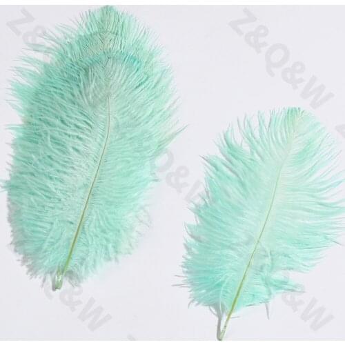 Natural 15-20CM (6-8 inches) Ostrich Feather Dyed Book Lotus Green 10-100PCS Costume Decoration DIY Craft Ornament Christmas Day