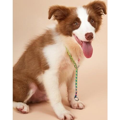 Stainless Steel Dog Collar No Pull Dog Training Collar with Slip Chain for Small Medium and Large Dog