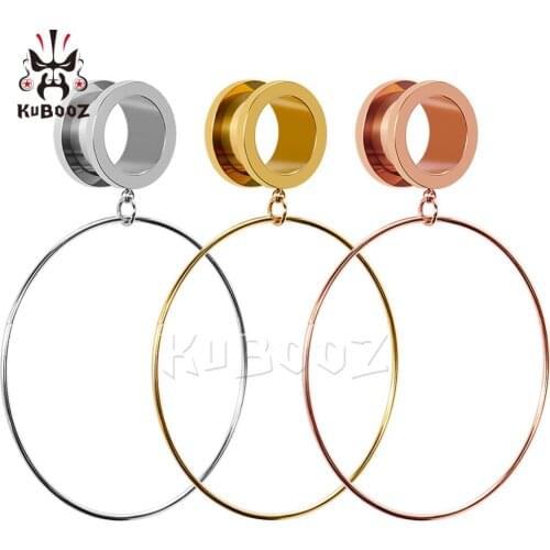 KUBOOZ Ear Plugs Piercing Body Jewelry Tunnels Plugs Stainless Steel Dangle Earring Stretcher Fashion Gift For Women Men 10PCS