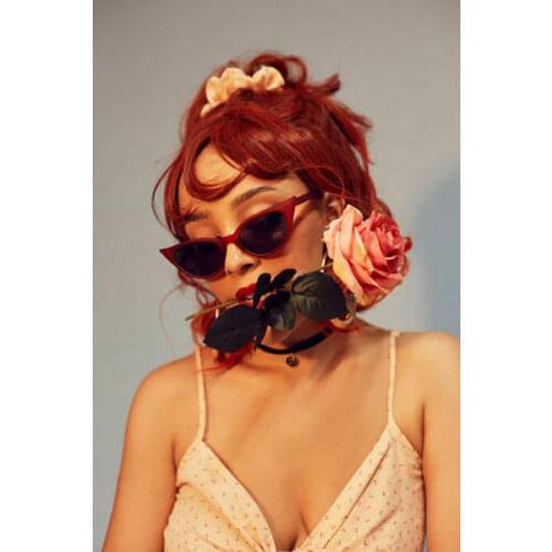 Doja Cat Hip Hop Rap Music Singer 2 Silk Fabric Wall Poster Art Decor Sticker Bright