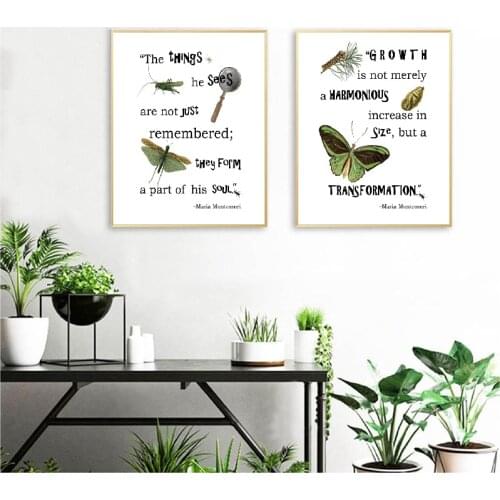 Nature Insect Educational Canvas Posters and Prints Child Room Decoration Painting Butterfly Pictures Kindergarten Wall Decor