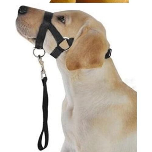 The dog protective car seat cushion and pet cushion are waterproof and ideal for transporting dogs for Dodge car