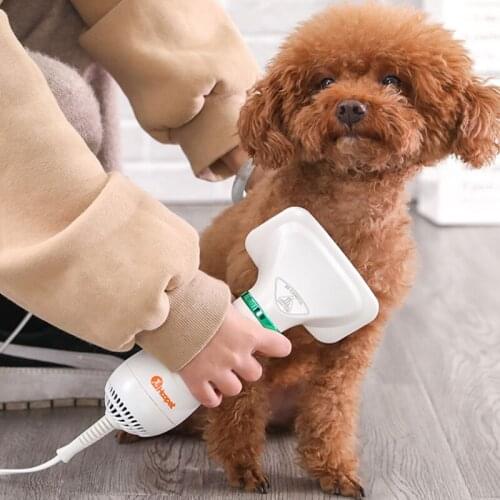 2-In-1 Portable Dog Dryer Dog Hair Dryer Comb Brush Pet Grooming Cat Hair Comb Dog Fur Blower Low Temprature Noise Pet Supplies