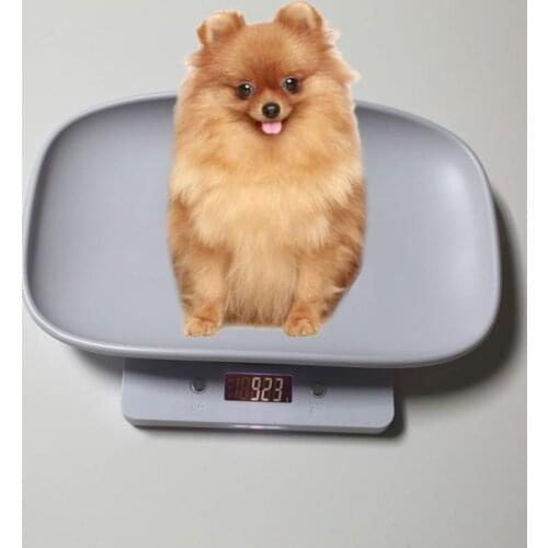 1g-10kg Pet Dog Cat Animal Scale Digital Baby Infant Weight Scale (kg/oz/lb) LCD E7CB