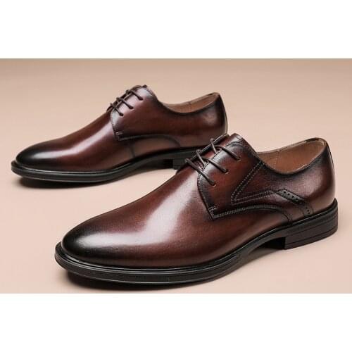 Ligustel Brogues For Men