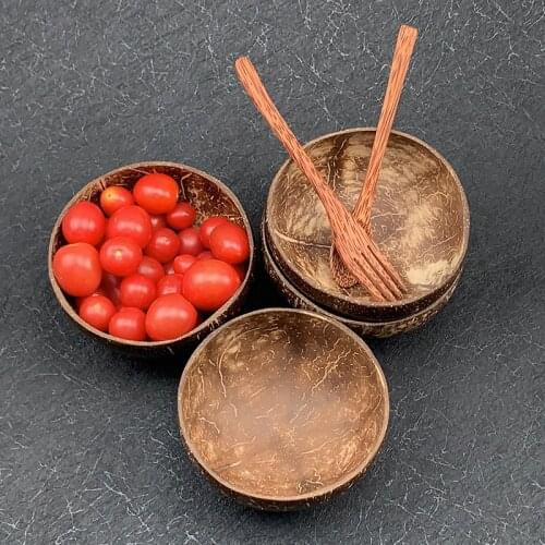 Cute fruit salad coconut bowl creative rice noddles spaghetti texture tableware 100% natural coconut bowl with Silica gel base