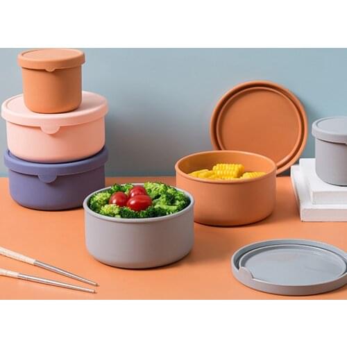 Portion Control Lunch Boxes