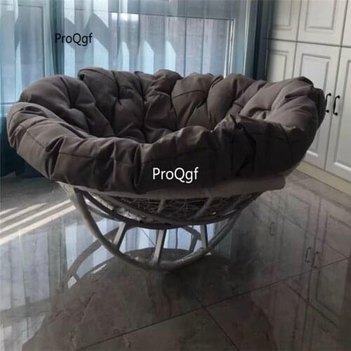 Ngryise 1 Set swing series color choice Swing Chair