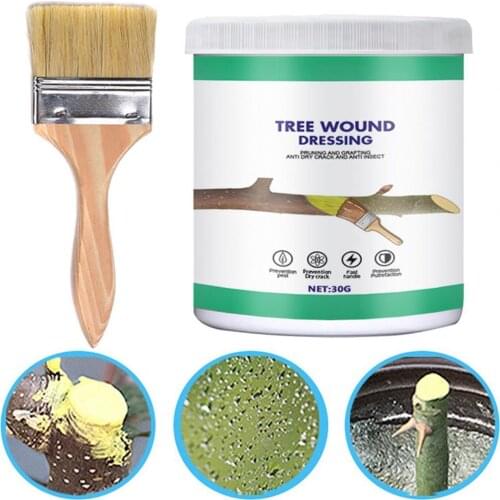 1 Set 30g Tree Pruning Sealer Prevent Decay Well Adhensive Tree Healing Agent Rain Resistant Tree Graft Healing Cream for Bonsai