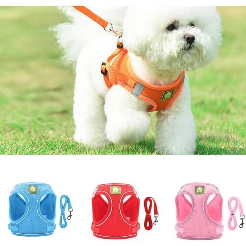 Nylon Mesh Puppy Cat Harnesses Vest Reflective Dog Harness and Leash Set for Chihuahua Pug Small Medium Walking Lead Leash