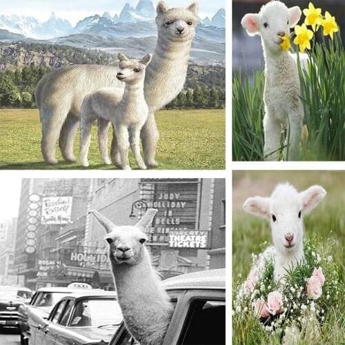 CHENISTORY 40x50cm Diamond Painting Alpaca Animal Full Square Round Diamond Art Mosaic Diy New Arrival Embroidery Home Decor