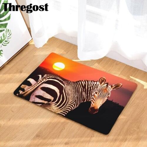 Cartoon Animal Printed Anti-slip Kitchen Room Floor Mat Flannel Carpet Rug Water Absorption Doormat Outdoor Bathroom Toilet Rug