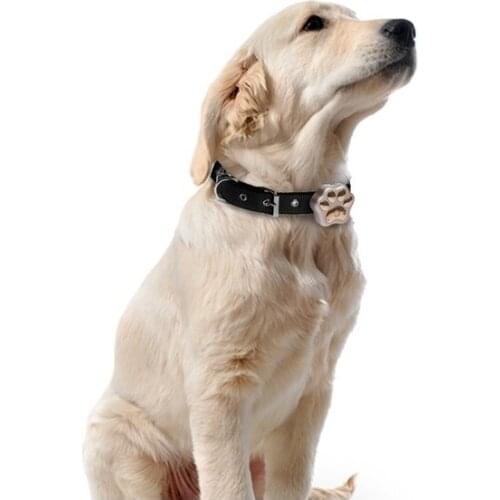 Most popular newest top sale GPS pet tracker V30 with animal footprint shape design and waterproof smart led light RYDV30