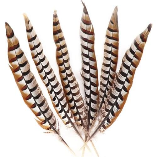 Promotion Lady Amherst Pheasant Tail Feathers 16-18 inch / 40-45 CM Jewelry for Christmas Craft DIY Plumes