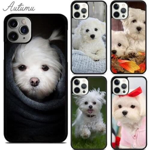 Bichon Frise Dog Puppy Phone Case for iPhone 11 12 Pro Max mini X XR XS SE 2020 5 6S 7 8 Plus Samsung Galaxy S9 S10 Cover shell