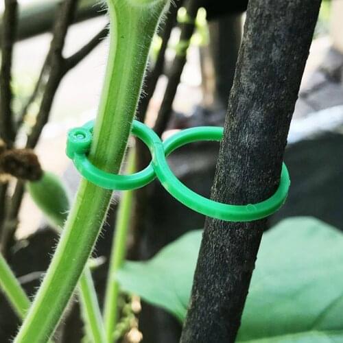 50/100 Pcs Plant Clips Garter Plants Tomato Clip Reusable Garden Plant Support Rill Greenhouse Plant Seeding Vines Clamp Tools