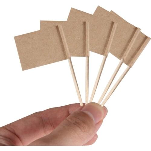 100 pcs Blank Toothpick Flags Paper Flag Picks Cheese Markers for Cupcake, Food, Fruit, Party Decorations