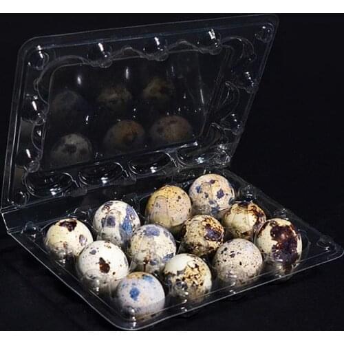 1000 pcs/lot 12 Holes Quail Egg Containers Plastic Egg Boxes D28mm/H39mm SN242