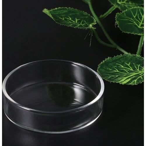 Clear Glass Shrimp Food Round Dishes Small Fish Feeding Bowl Ornamental Supplies Fish Tank Feeding Bowls Feeding Tropical Fish