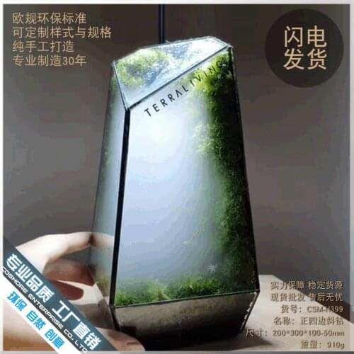 Micro landscape glass cover eternal flower ornaments creative glass vase fashion transparent glass vase