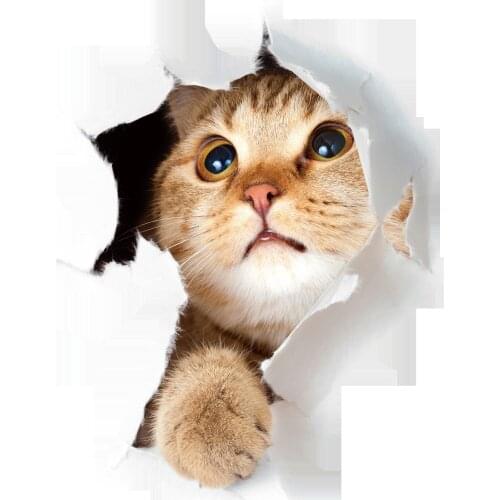 New Creative 3D Stereo Cat and Dog Wall Decoration Toilet Cover Laptop Wall Sticker