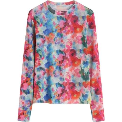 Spring Mesh Tops Women Retro Print Slim Round Neck Long-Sleeved 2021 New Abstraction Print See Through Top Clothes