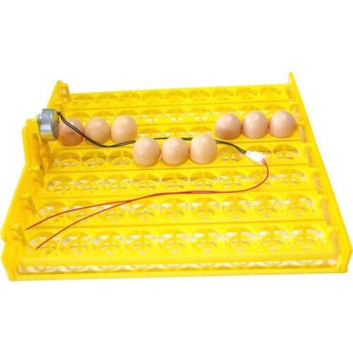 63 Eggs Automatic Incubator Egg Tray Egg Incubator 110v / 220v Motors New Incubation Equipment Chicken Bird Equipment