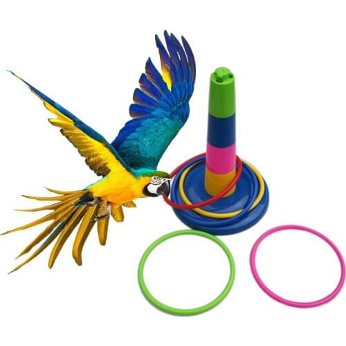 Parrot Bird Educational Toys Develop Birds Intelligence Ring Toy Training Bird Toys Parrot Interactive Toys Benefits Bird Growth