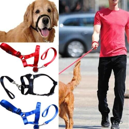 Training Puppy Head Collar Halter Pet Mouth Traction Set Dog Muzzle Leash Leader No Pull Strap S-XXL