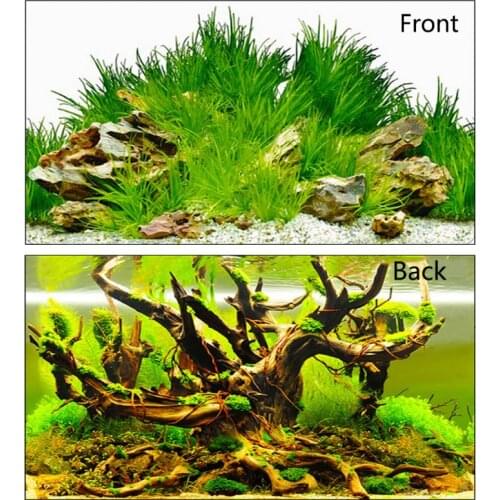 Fish Tank Background Painting 3D Double-sided Ocean Landscape Poster Decor