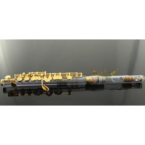 Perfect acrylic Transparent Body Cupronickel Key Mouthpiece Gold plated Piccolo