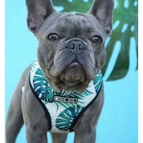 Cute Dog Harness Leash Set French Bulldog Walking Outside Leading Rope Bamboo Mesh Vest Harness Leashes Set Accesorio Para Perro