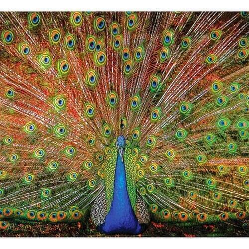 NEW Full Round/S Diamond 5D DIY Diamond Painting Embroidery Cross stitch peacock Rhinestone Mosaic Painting Decor Gifts