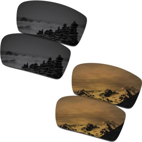 SmartVLT 2 Pairs Polarized Sunglasses Replacement Lenses for Oakley Gascan Stealth Black and Bronze Gold