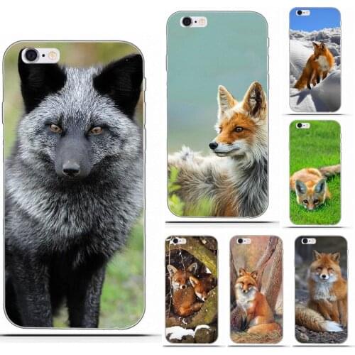 Wexoeq Animal Fox For Huawei G8 Honor 5C 5X 6 6X 7 8 9 Y5II Mate 9 P7 P8 P9 P10 P20 Lite Plus 2017 Novelty Phone Case Cover