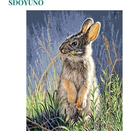 SDOYUNO Paint By Numbers Rabbit DIY 60x75cm Oil Painting By Numbers On Canvas Animals Frameless Number Painting Pictures Decor