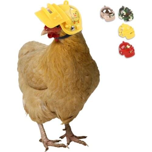 2021 New Chicken Helmet Cap Pet Protective Gear Sun Rain Protection Helmet Toy Bird Hens Small Pet Supplies Costumes Accessories