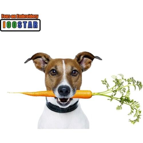 Sell Full Square/Circle Diamond Embroidery DIY Diamond Painting Mosaic Picture Diamond Painting Animal Radish Dog Head Gift