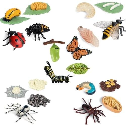 Фигурки насекомых QiKids China At AliExpress