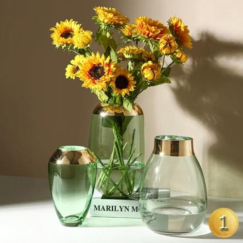 Nordic Luxury Glass Vase Gold Decoration Transparent Hydroponic Pot Living Room Flower Arrangement Porch Model Room Home Decor