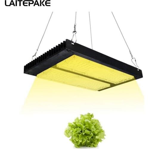 Super Lumen 40000lM 240W Led Grow Light Full Spectrum 3500K+460NM 220V For Grow Tent Plant Growth Light