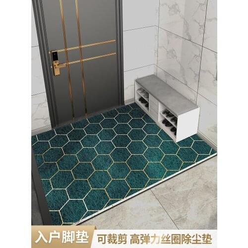Door mat into the door light luxury home outdoor silk ring soil anti-slip can be cut into the door mat into the household carpet