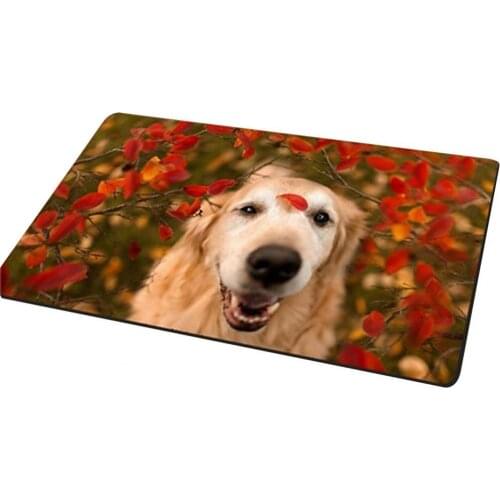 Hot Sale 60% Doormat Non-Slip 3D Effect Dog Print Flannel Rectangle Carpet Modern Home Decor