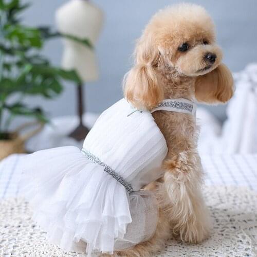 Handmade Dog Clothes Pet Dress Ancient Greek Goddess Style Princess Wedding Dress Cat Poodle Maltese Yorkie Drop Shipping