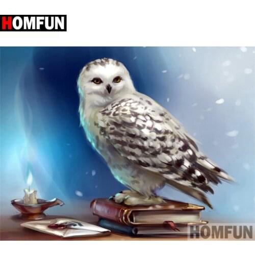 HOMFUN Full Square/Round Drill 5D DIY Diamond Painting "Animal owl" 3D Diamond Embroidery Cross Stitch Home Decor A19819