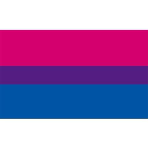 90*150cm Xvggdg Bisexual Pride Flag LGBT Pink Blue Rainbow Flag Home Decor Gay Friendly LGBT Flag Banners Flags And Banners