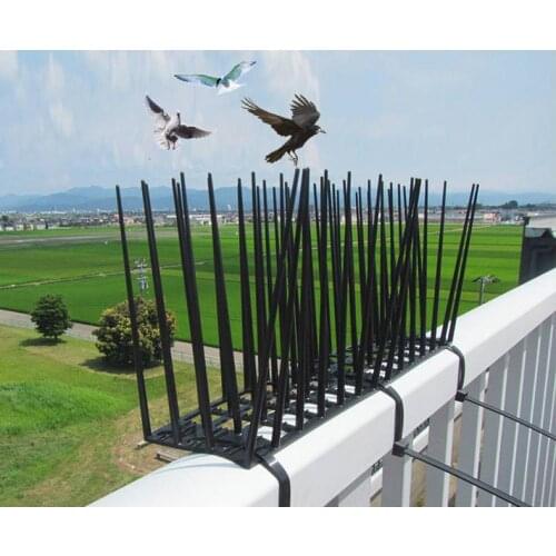 3pcs Bird Spikes Eco-Friendly Anti Pigeon Nail Deterrent Tool Pigeons Owl Small Bird Scarer Pest Control